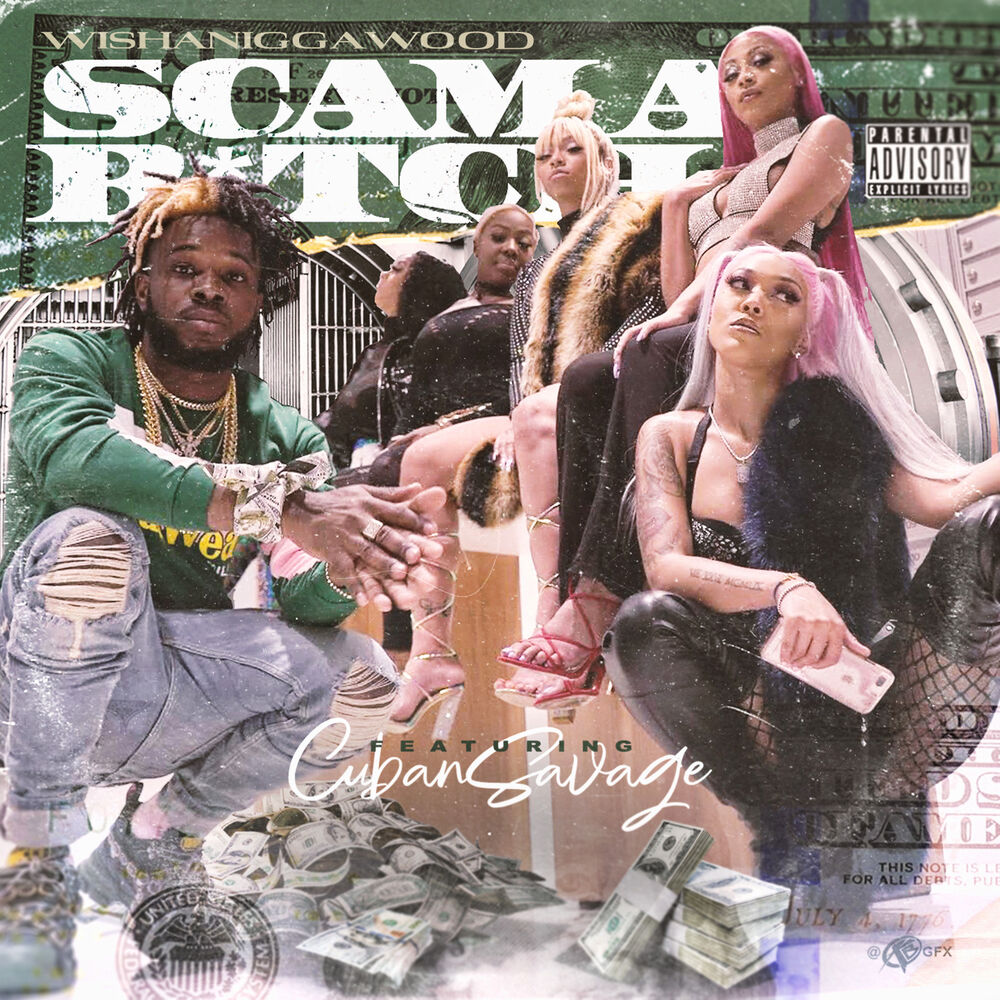 Picture of Scam a Bitch