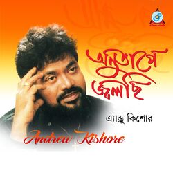 Cover of Anutapey Jolchi