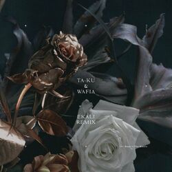 music cover