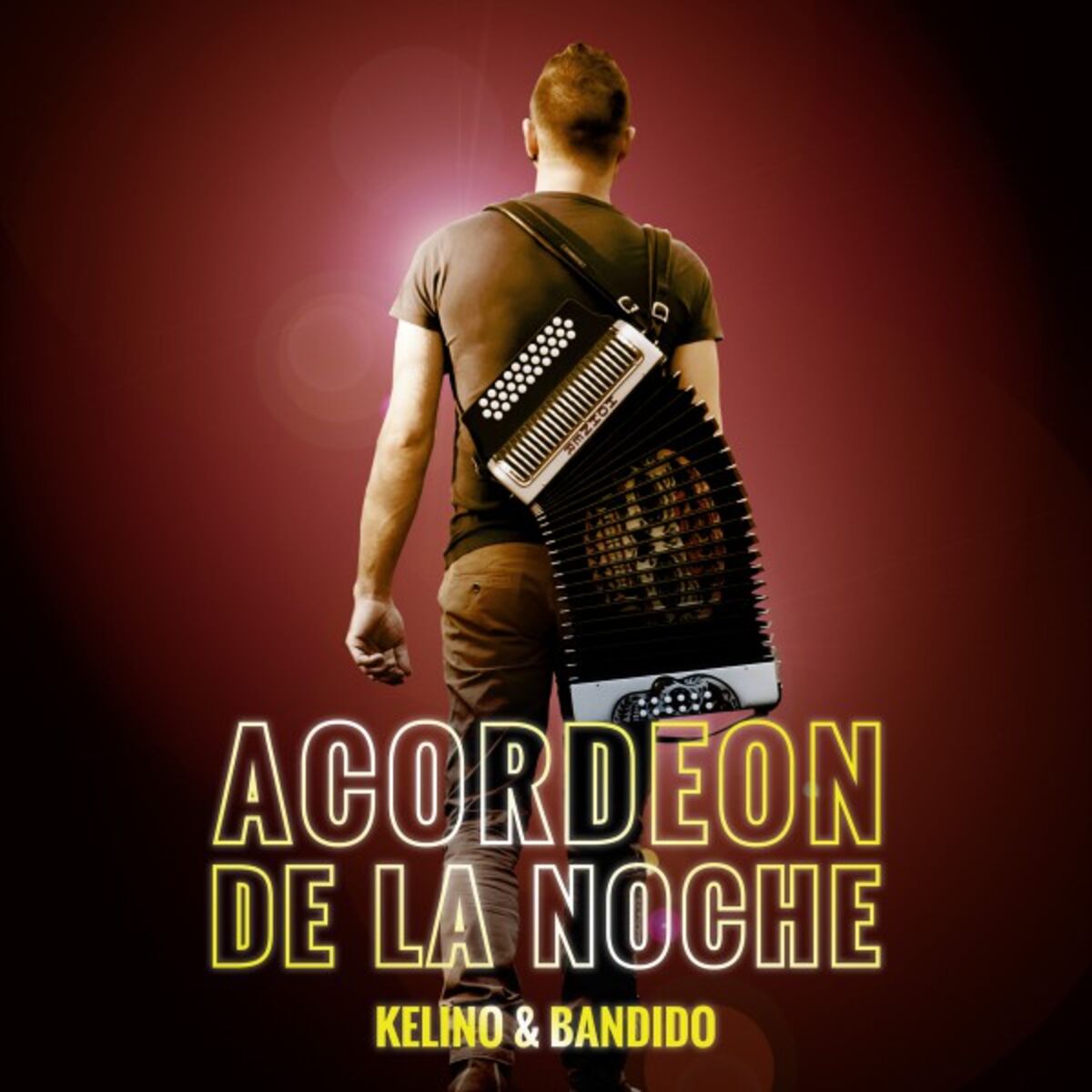 Album cover of Acordeon de la Noche