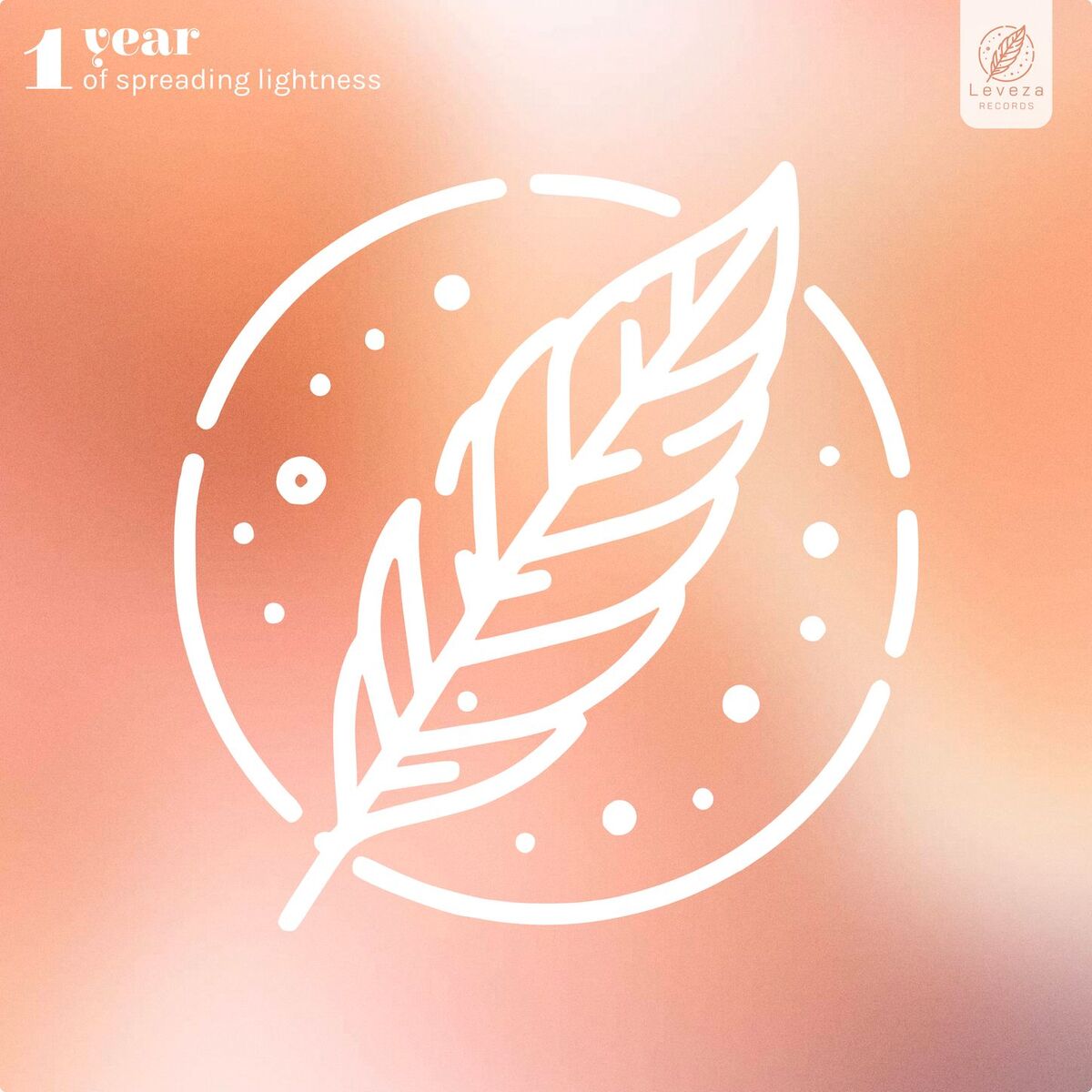 Album cover of Leveza Records: 1 Year of Spreading Lightness