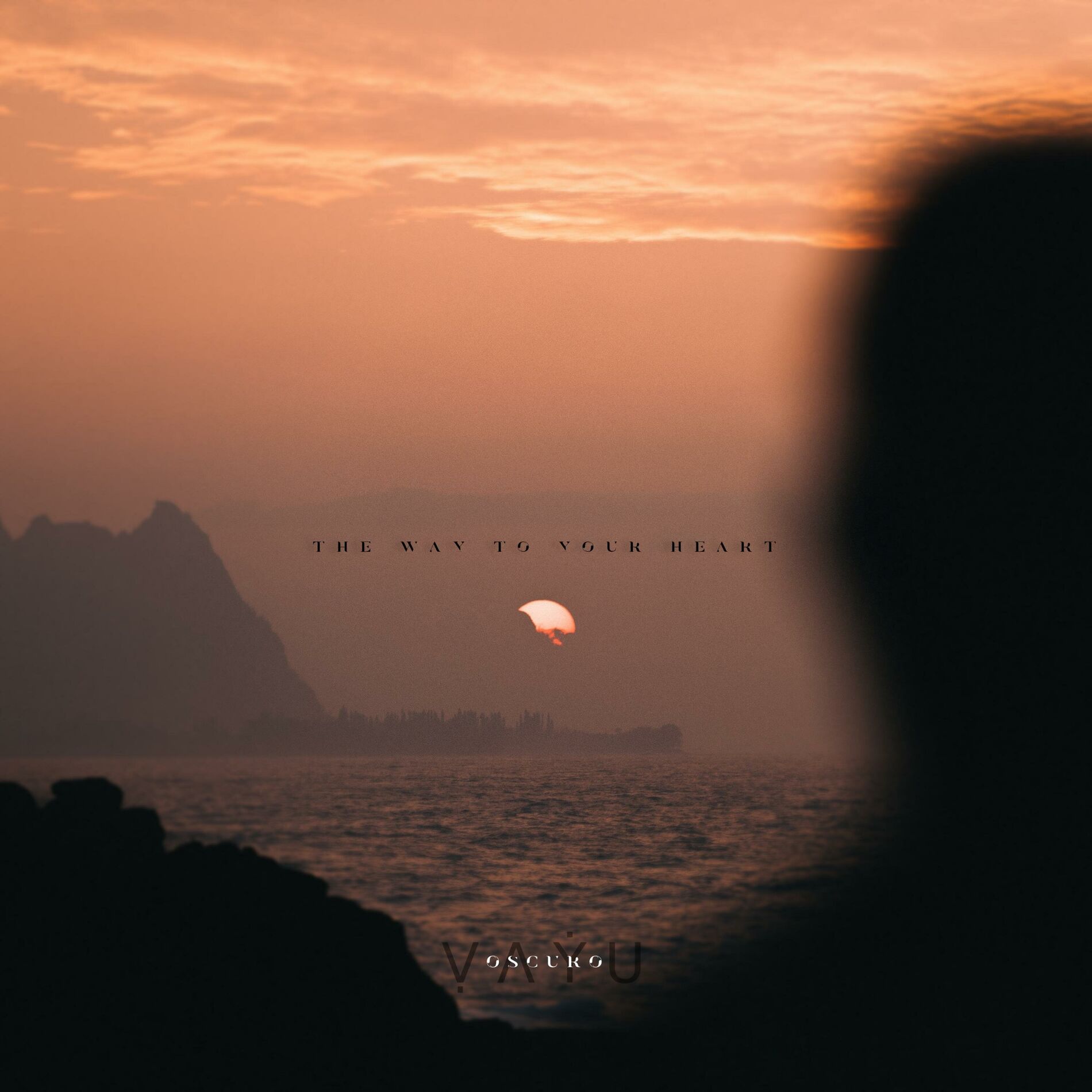Album cover of The Way To Your Heart (feat. Oscuro)