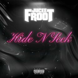 Cover of Hide N Seek
