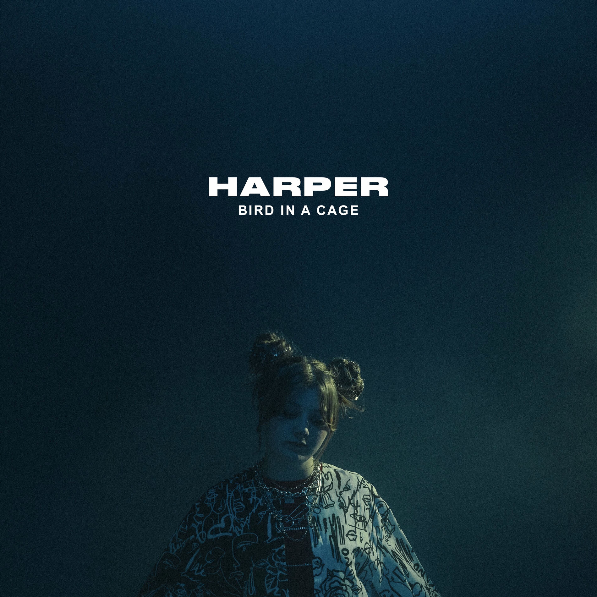 Album cover of Bird In A Cage