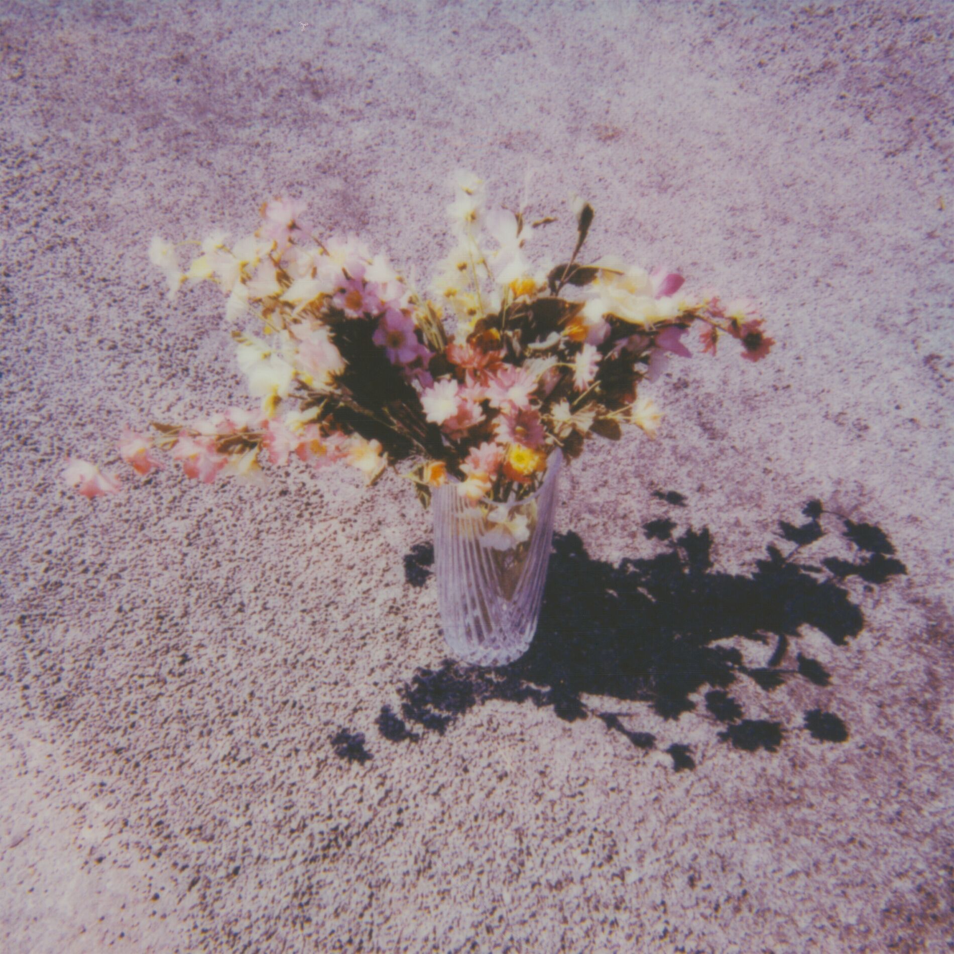 Album cover of Sentiment banal
