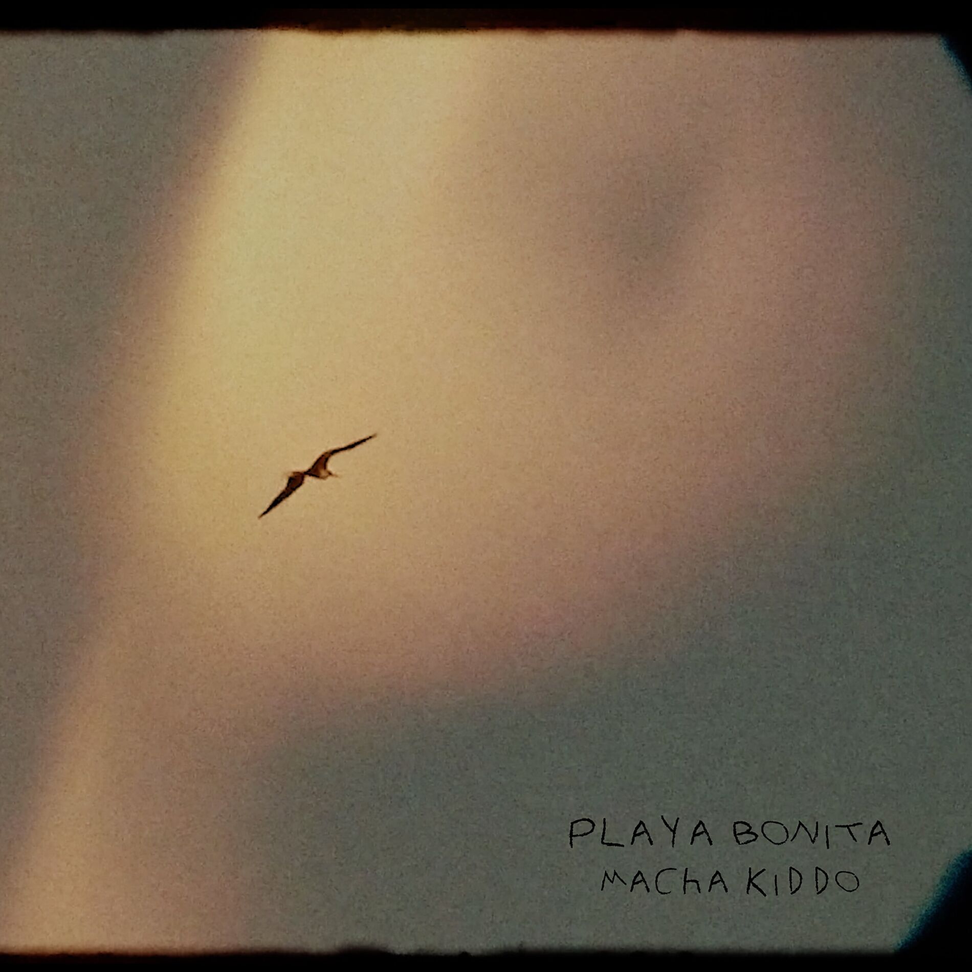 Album cover of Playa Bonita