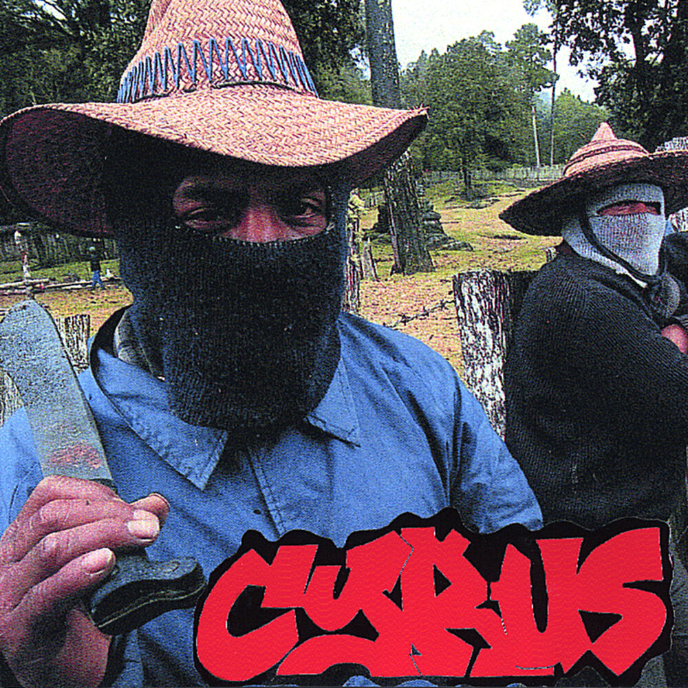 Picture of Cyrus