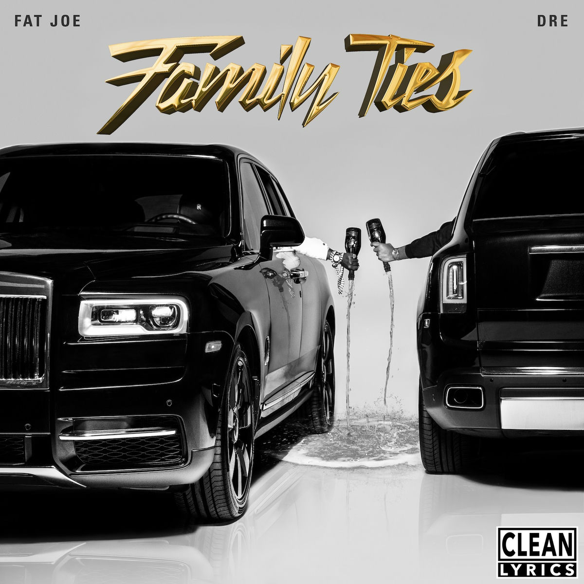 Album cover of Family Ties