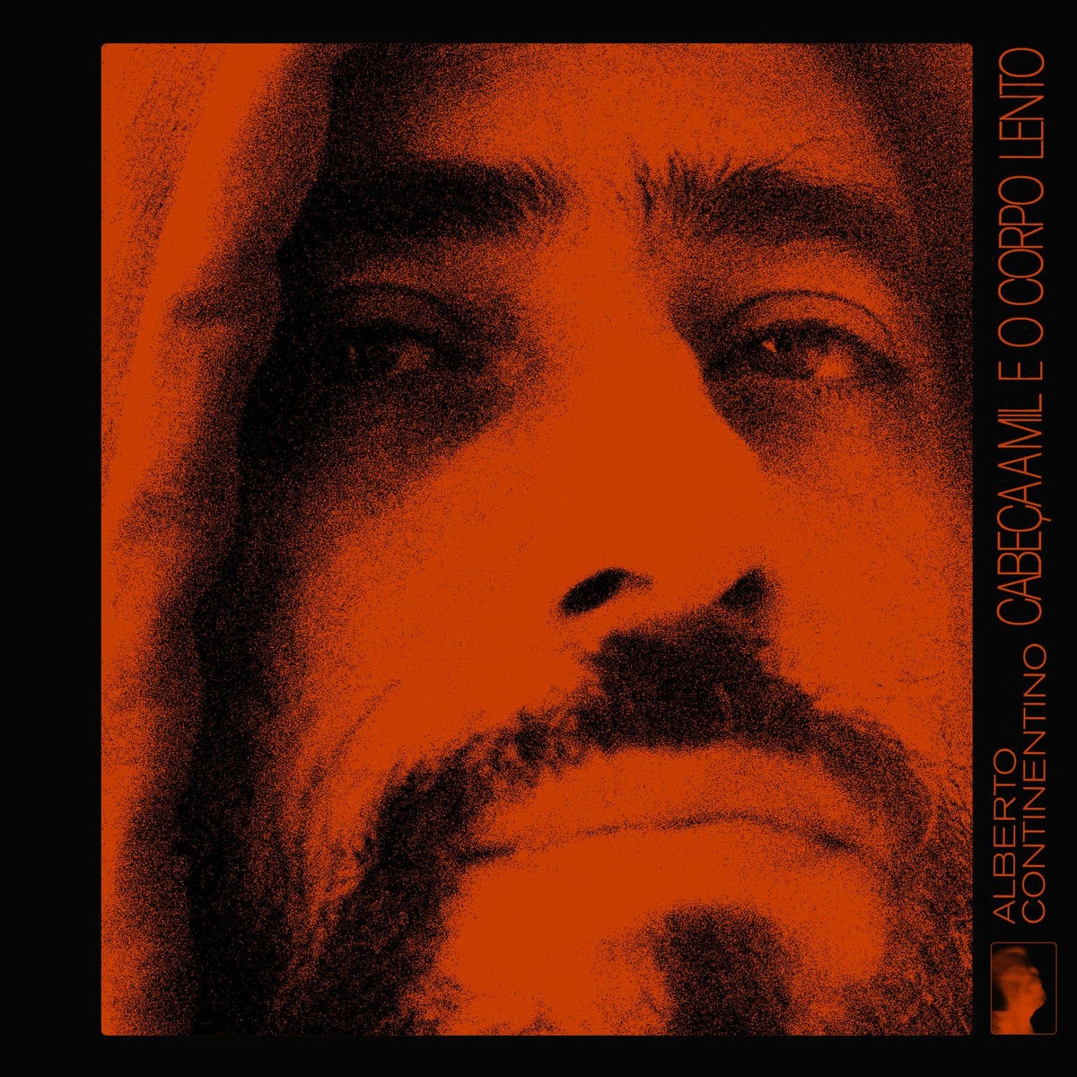 Album cover of False Idol