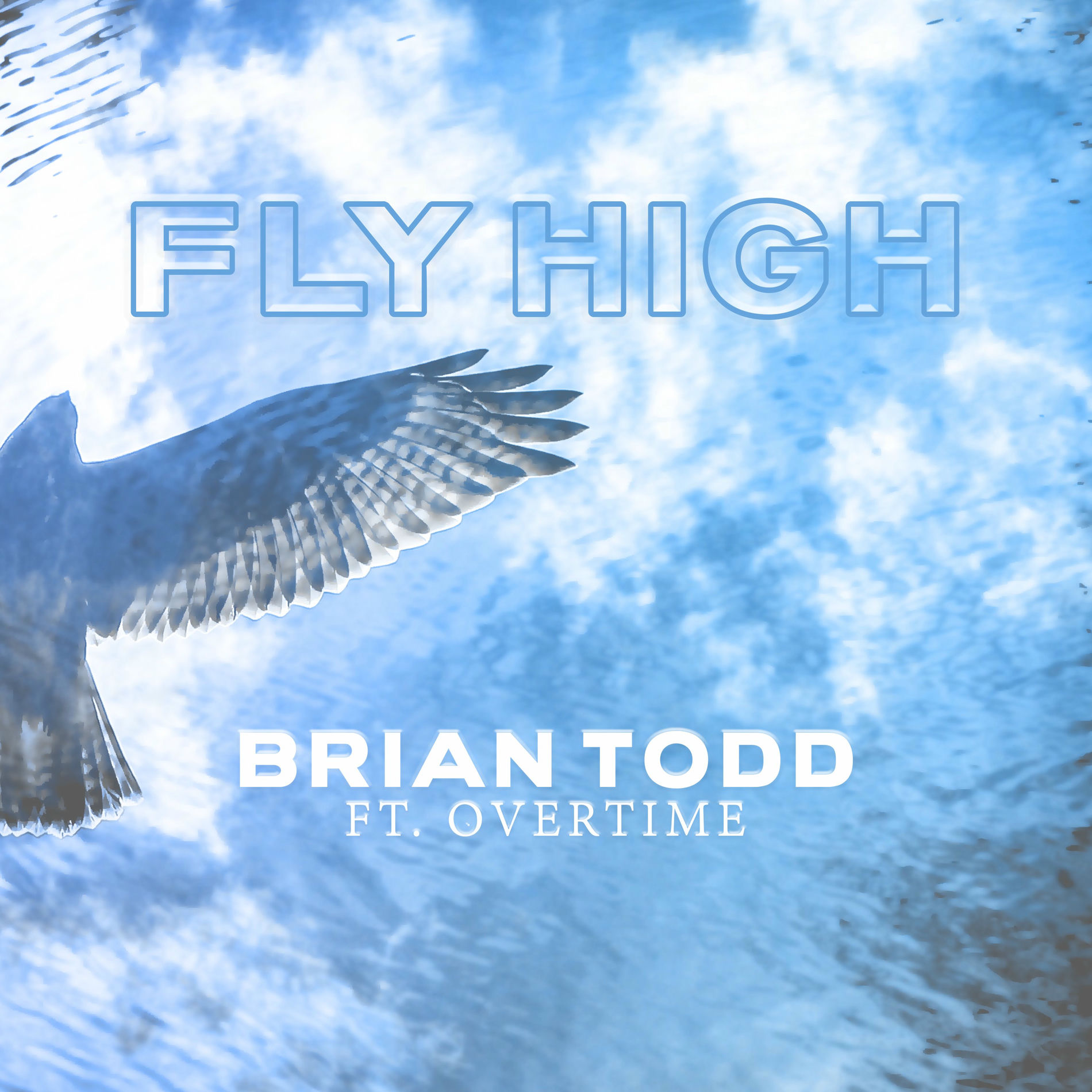 Album cover of Fly High