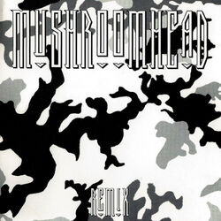 Cover of Remix