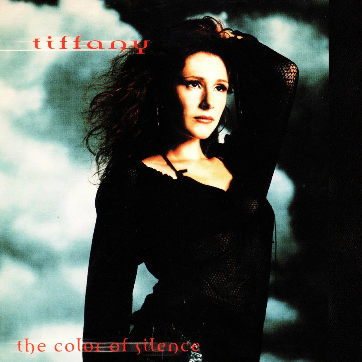 Album cover of The Color of Silence (Deluxe Edition)