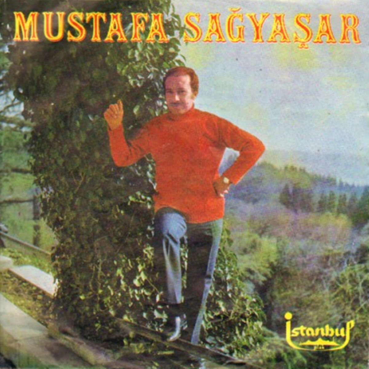 Album cover of Kalmadı Sabrım