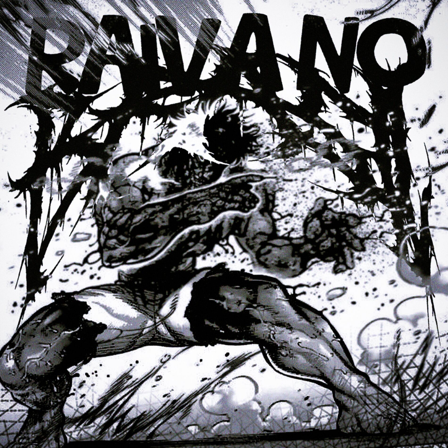 Album cover of RAIVA NO BRASIL