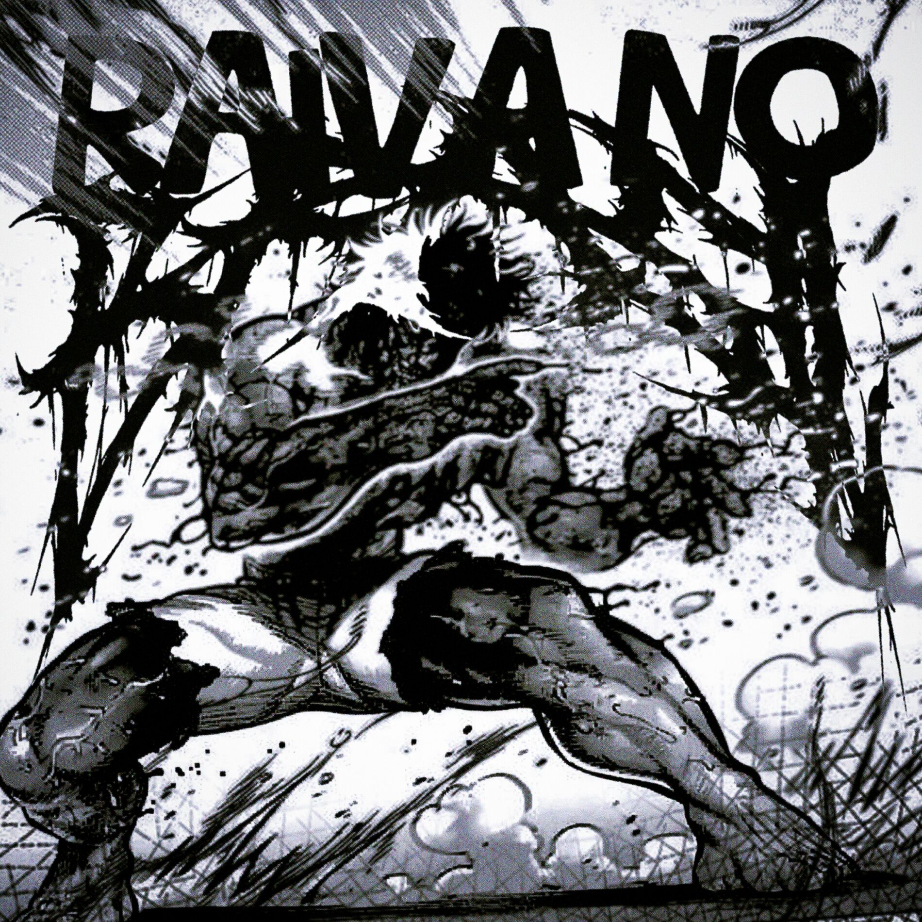 Album cover of RAIVA NO BRASIL