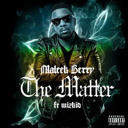Cover of The Matter