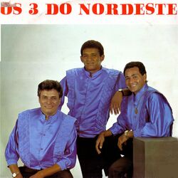 Cover of Acenda uma Fogueira no Seu Coração
