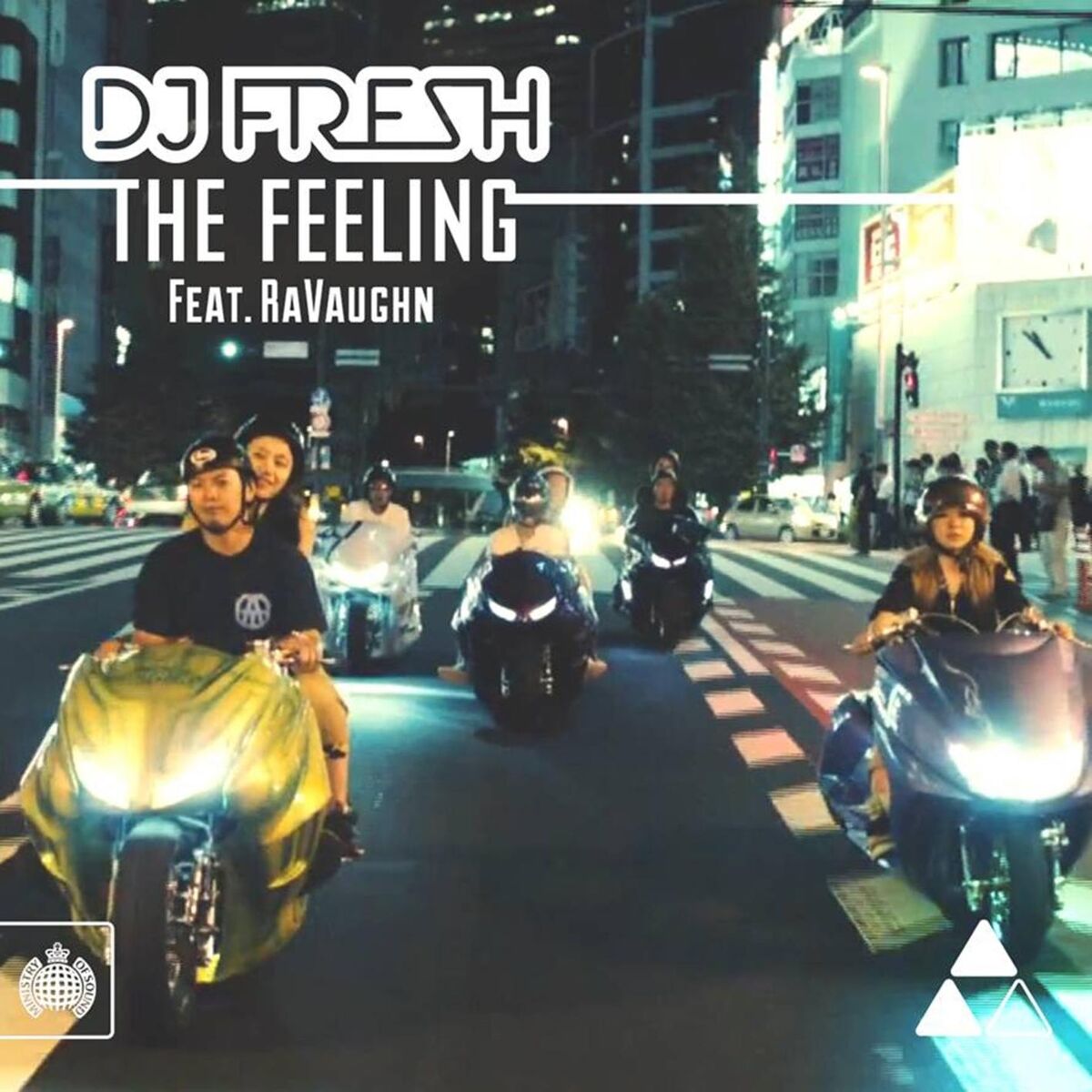 Album cover of The Feeling (feat. RaVaughn)