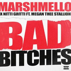 Cover of Bad Bitches (feat. Megan Thee Stallion)