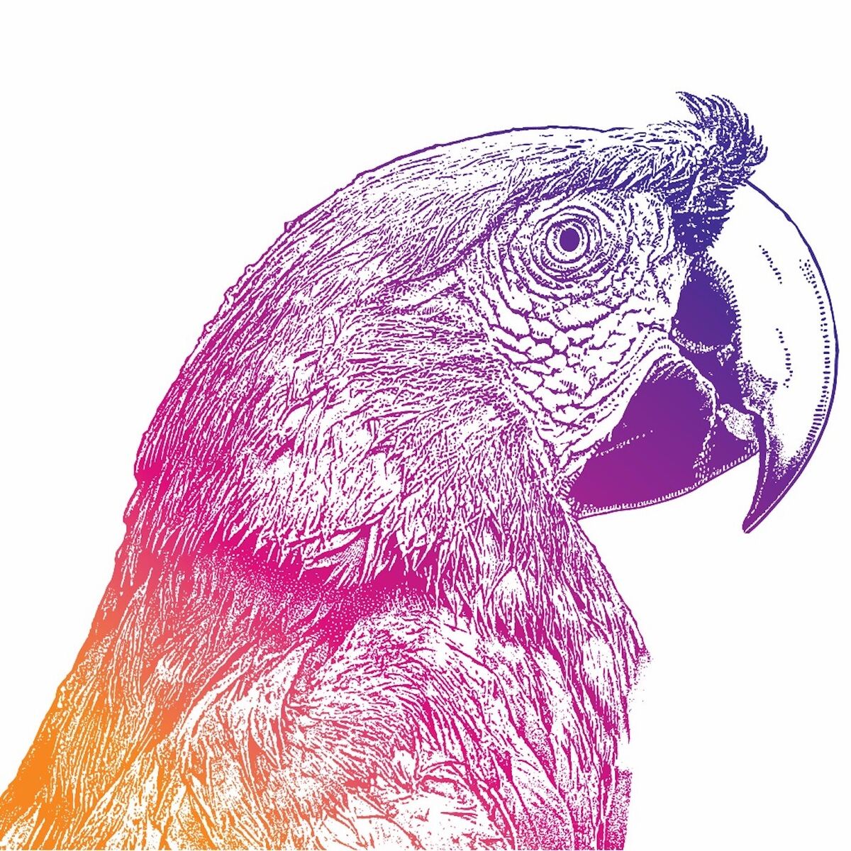 Album cover of Animal