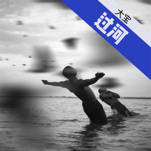 过河 (DJ烫脚版)