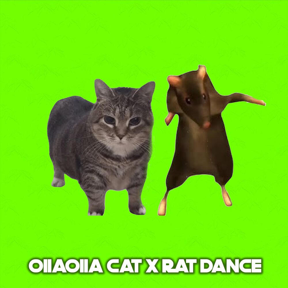 Picture of OIIAOIIA CAT x RAT DANCE