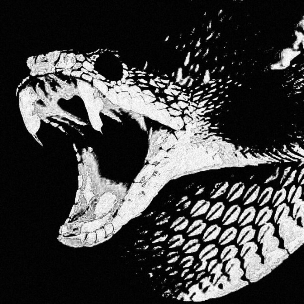 Picture of xenophidion