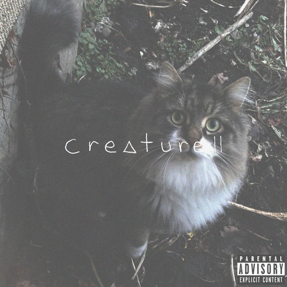 Album cover of alive