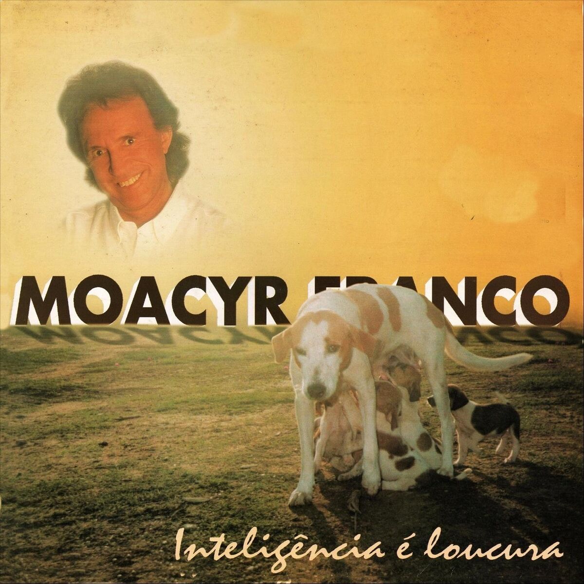 Album cover of Inteligência É Loucura