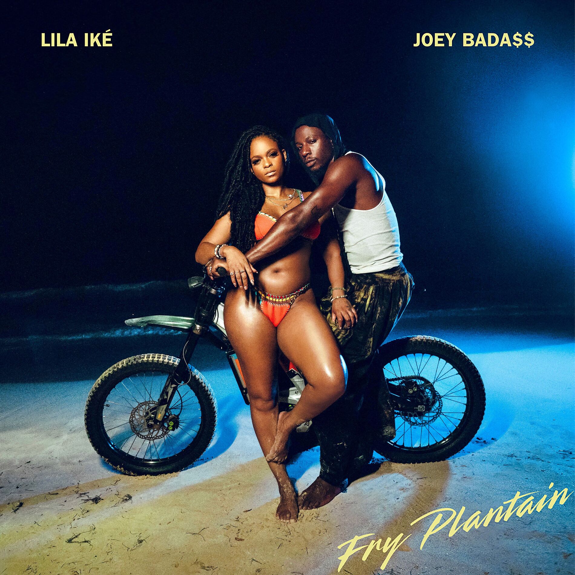 Album cover of Fry Plantain