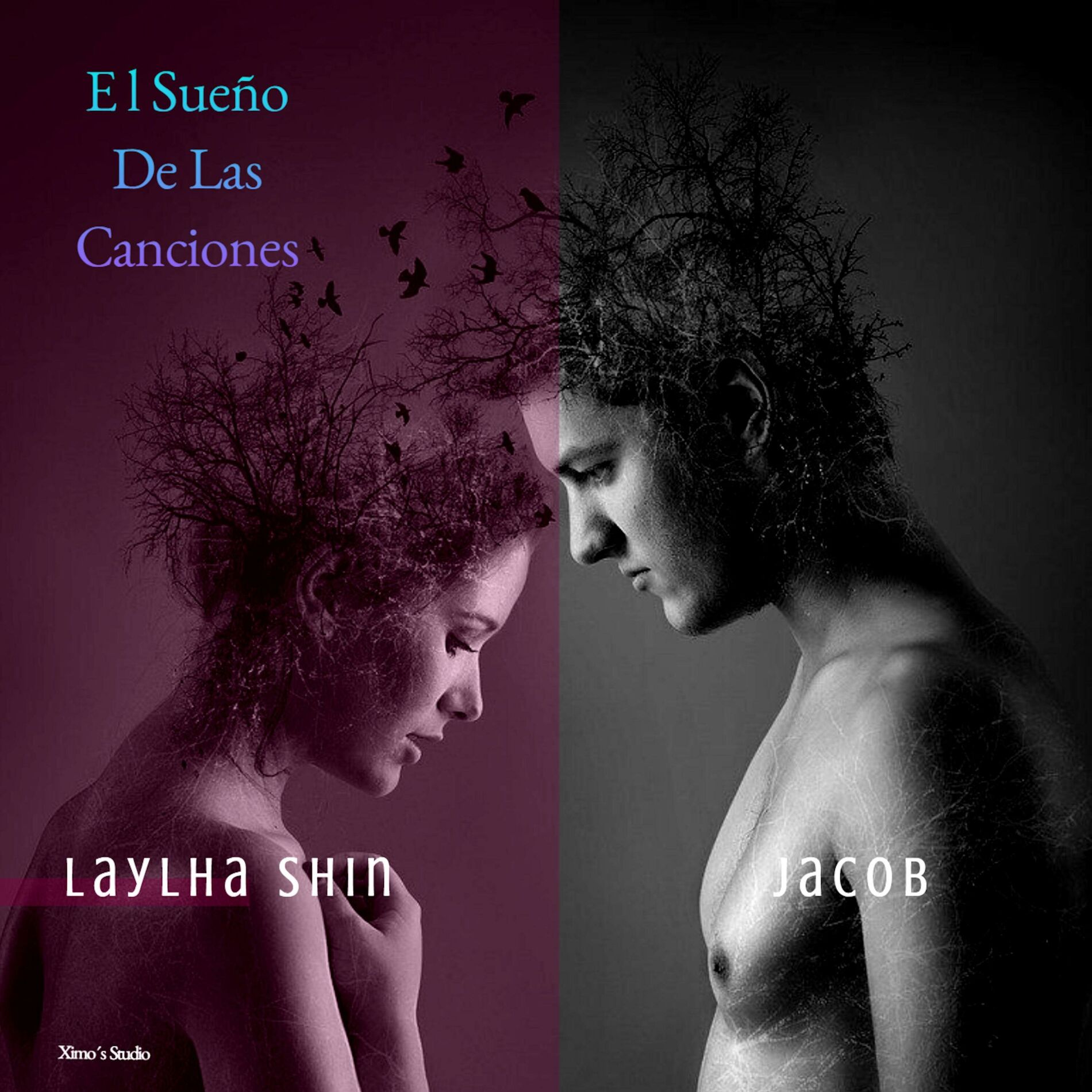 Album cover of El sueño de las canciones (feat. Jacob)
