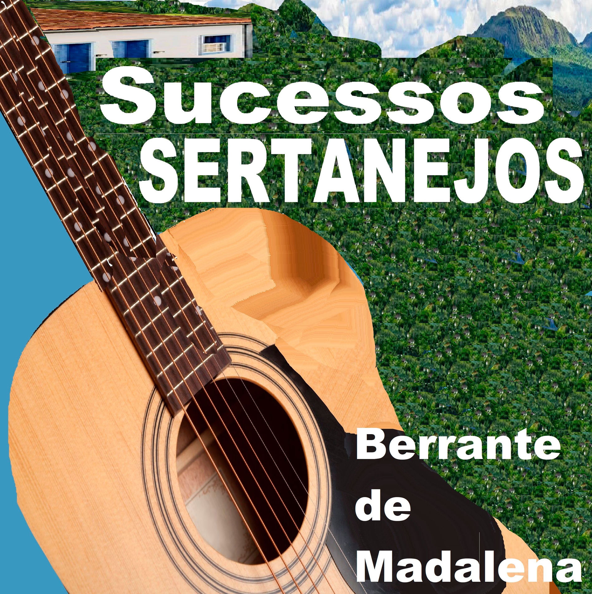 Album cover of Canção Do Boiadeiro