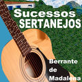 Sucessos Sertanejos Berrante de Madalena