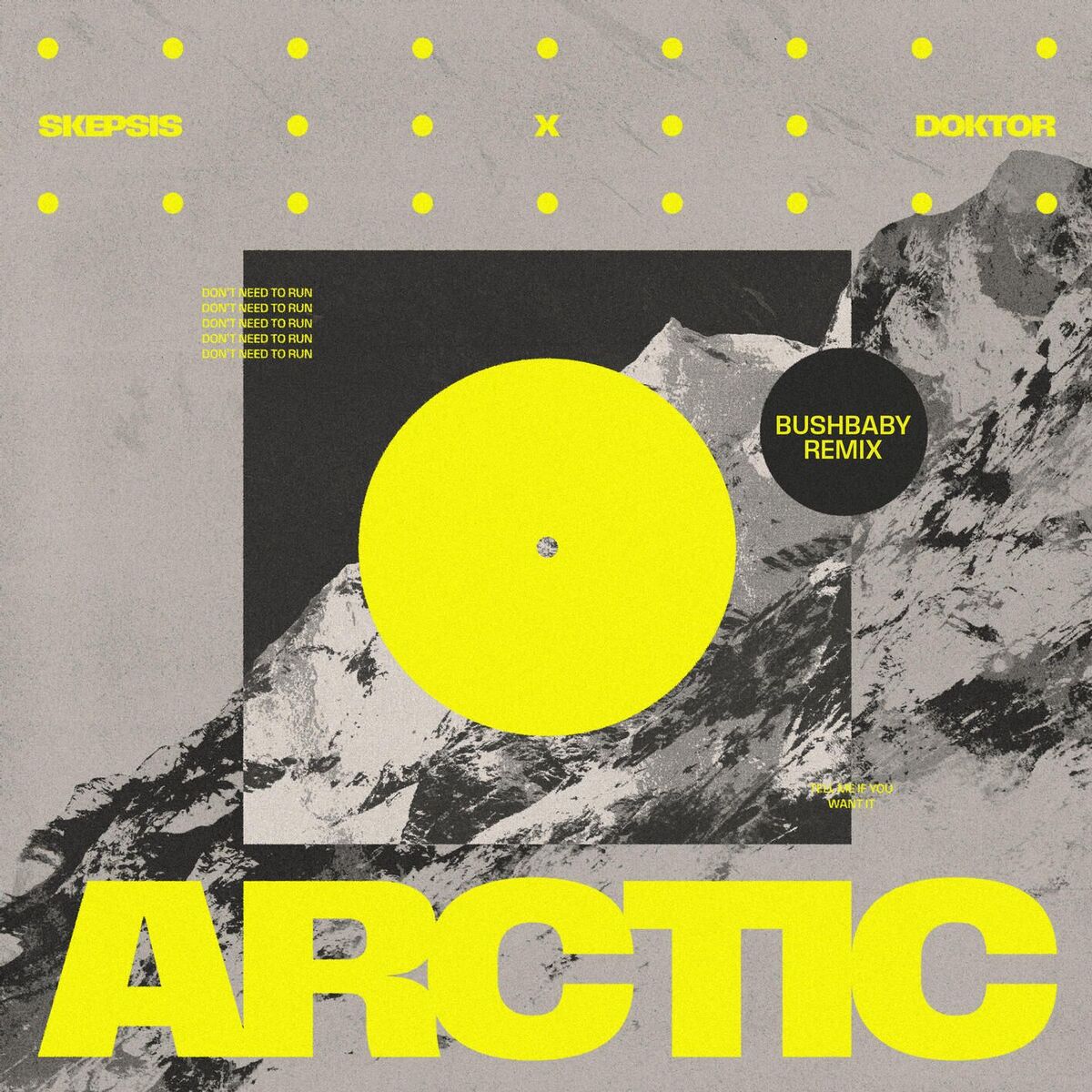 Album cover of Arctic