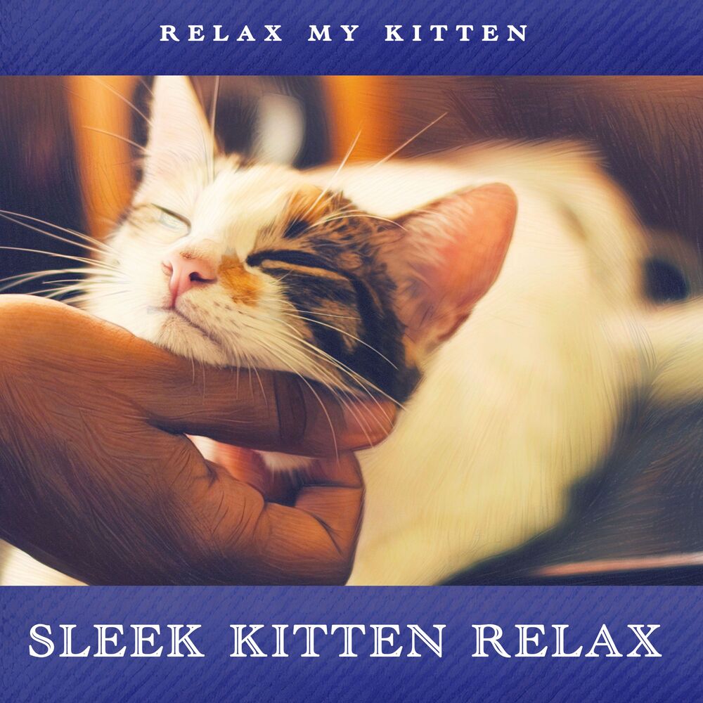 Picture of Sleek Kitten Relax