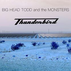 Cover of Thunderbird
