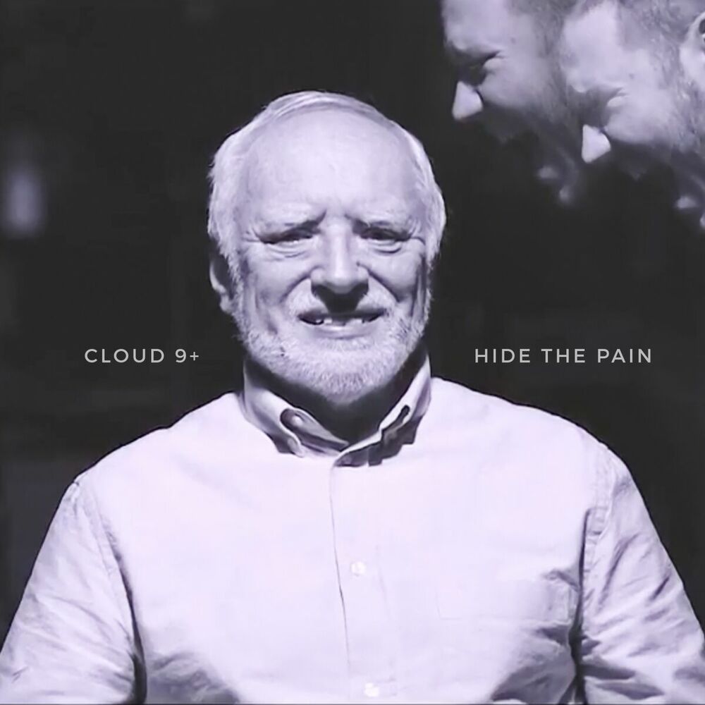 Picture of Hide the Pain