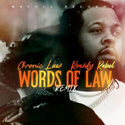 Cover of Words Of Law Remix