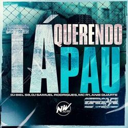 Cover of Ta Querendo Pau