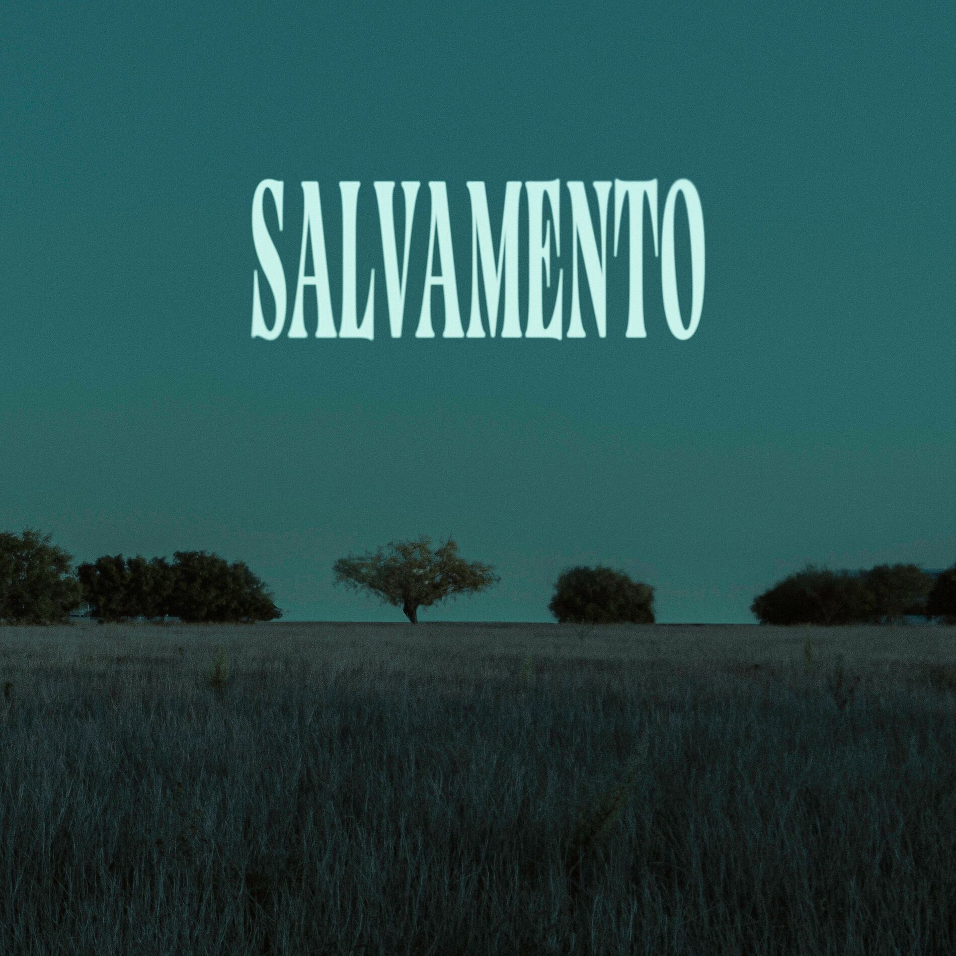 Album cover of SALVAMENTO