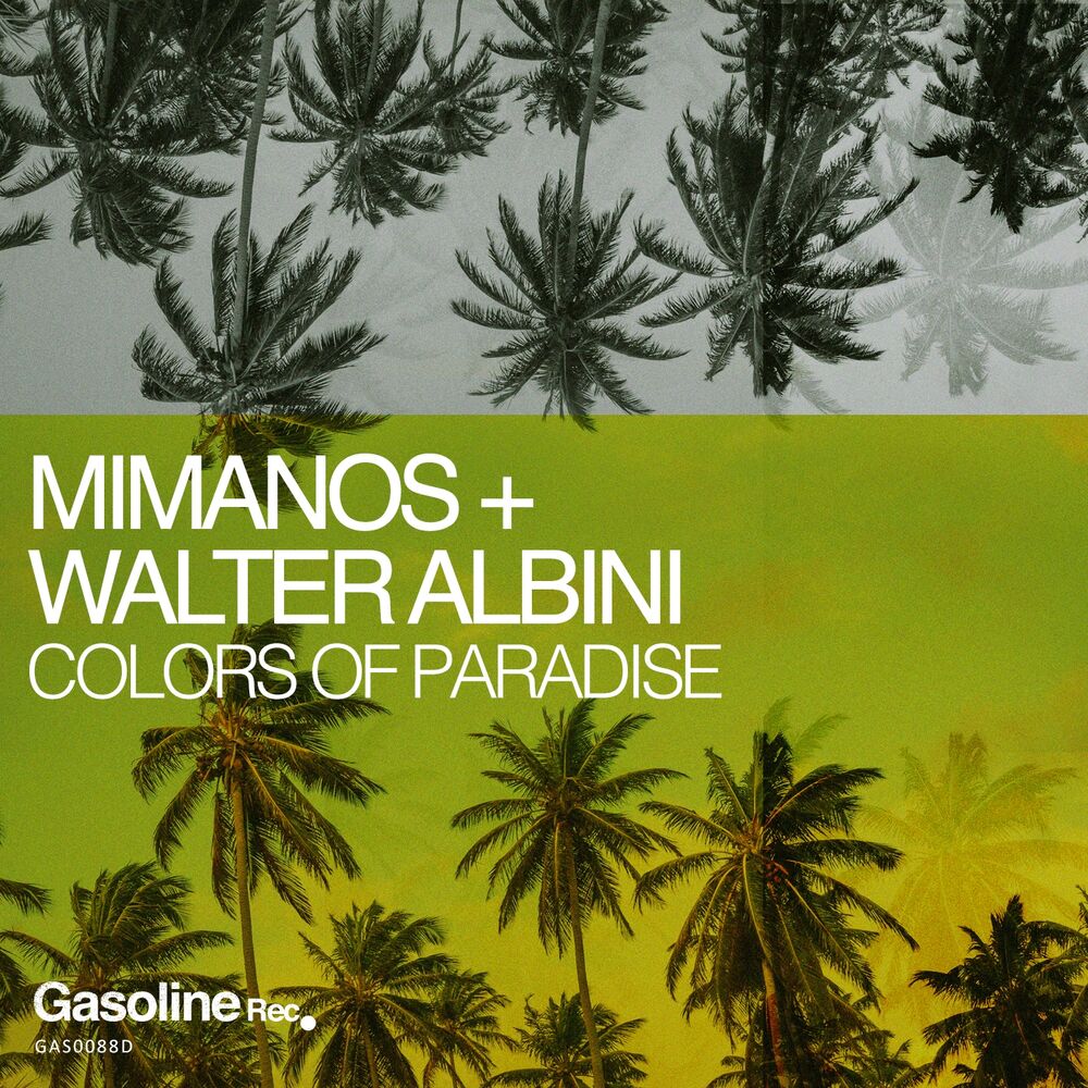 Picture of Colors of Paradise