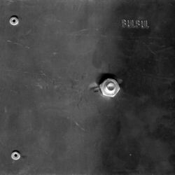 Cover of S/T (2)