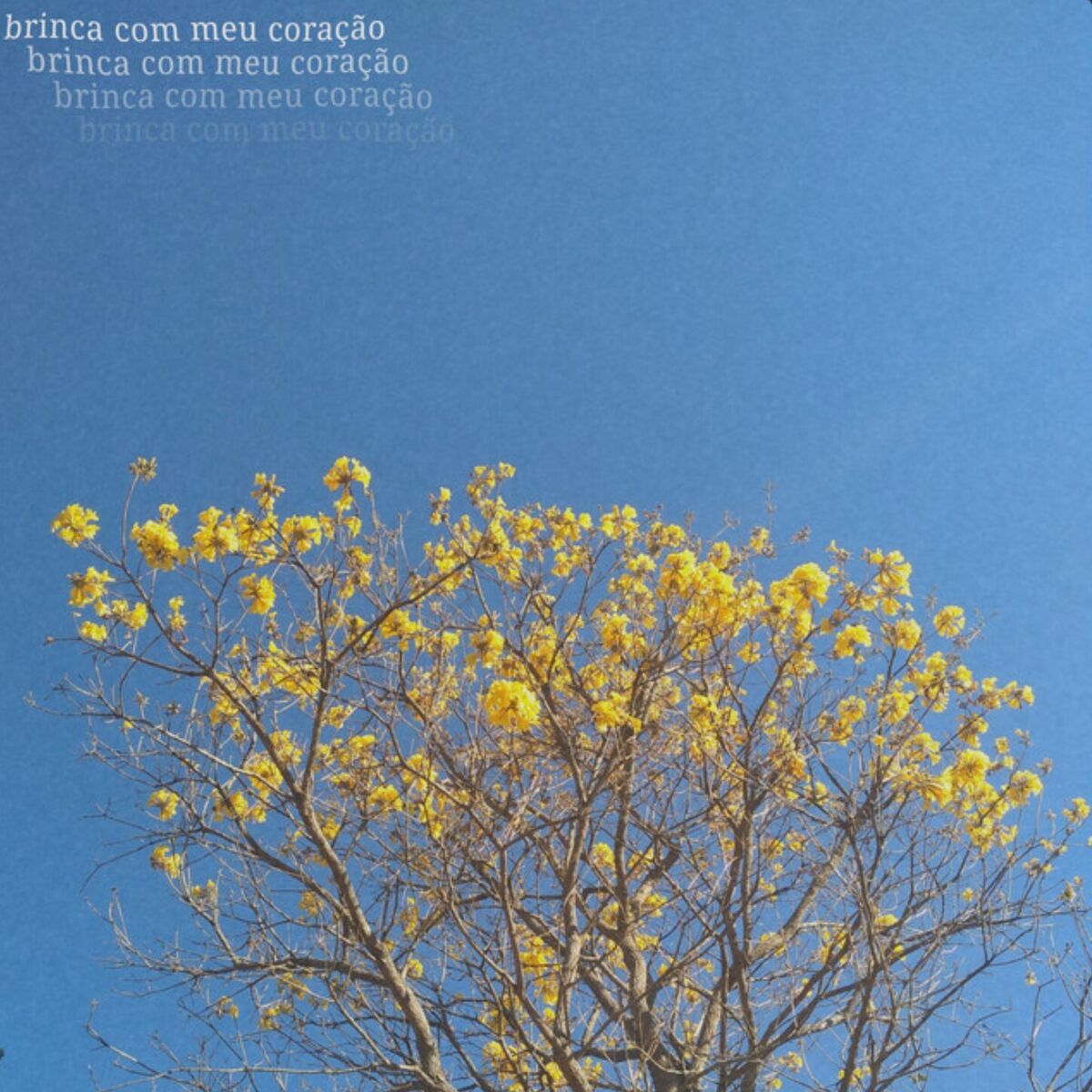 Album cover of Brinca Com Meu Coração