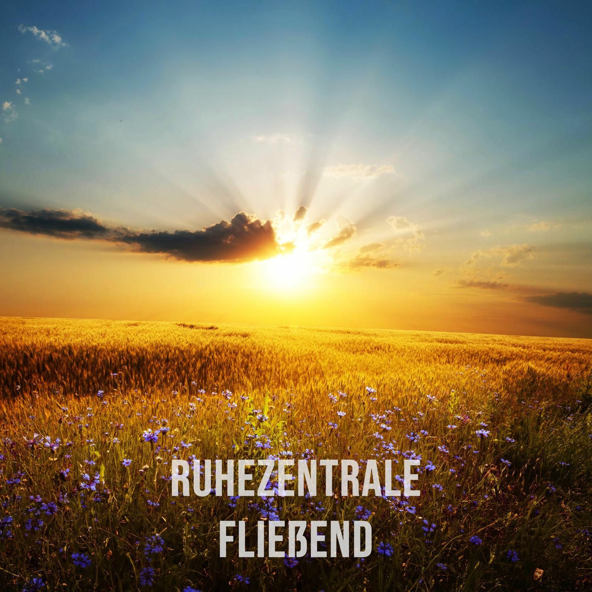 Album cover of Fließend