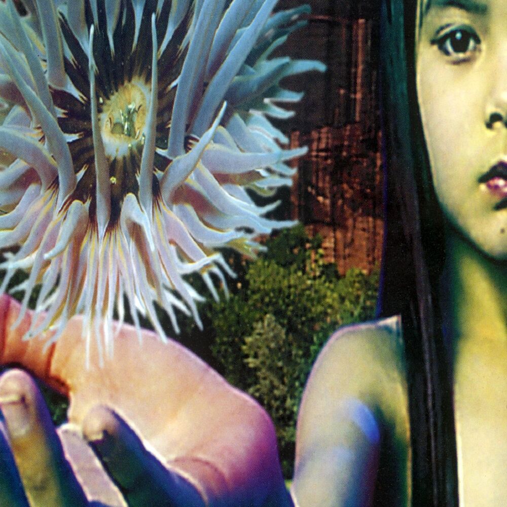 Picture of Lifeforms