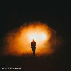 Cover of Would I Lie To You