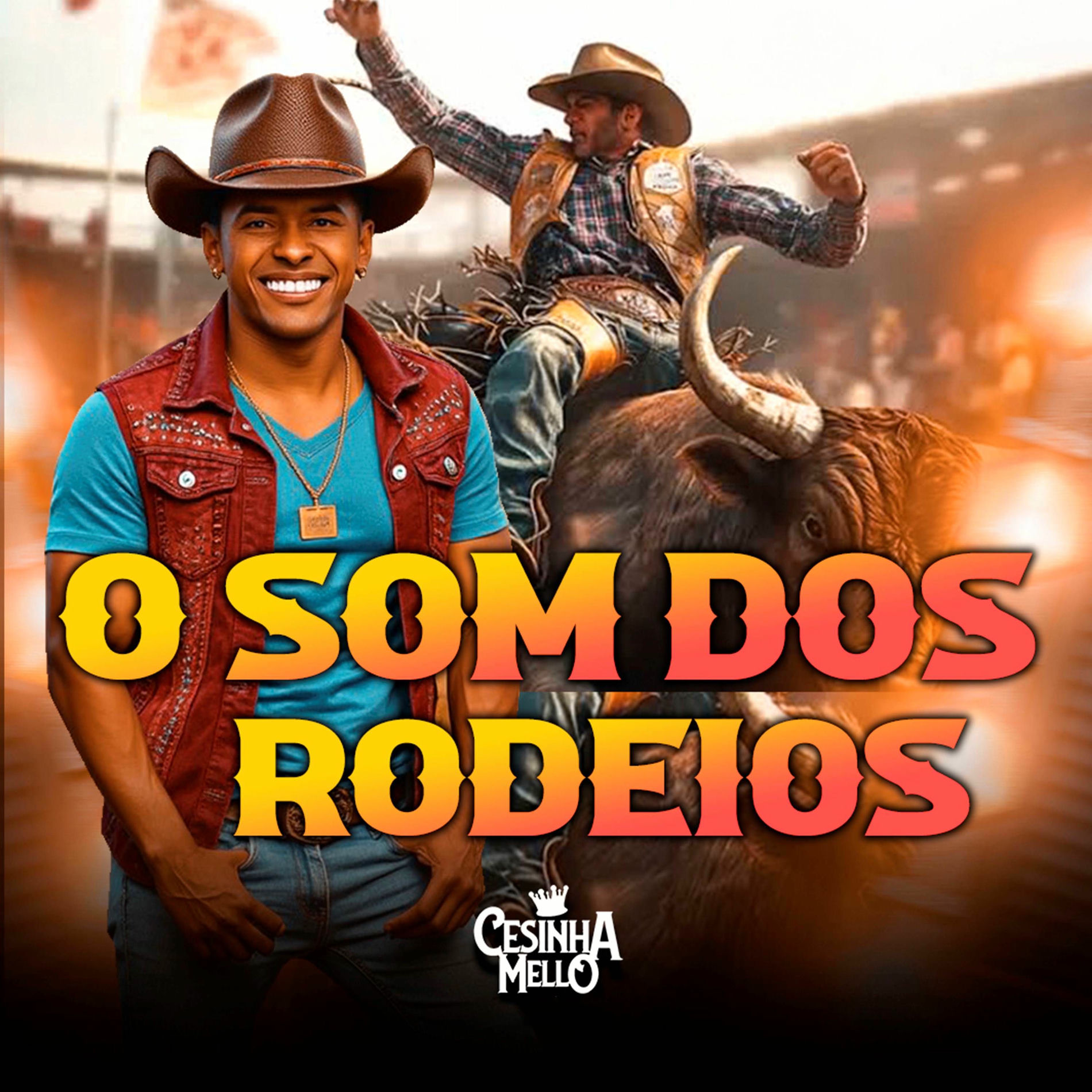 Album cover of O Som dos Rodeios