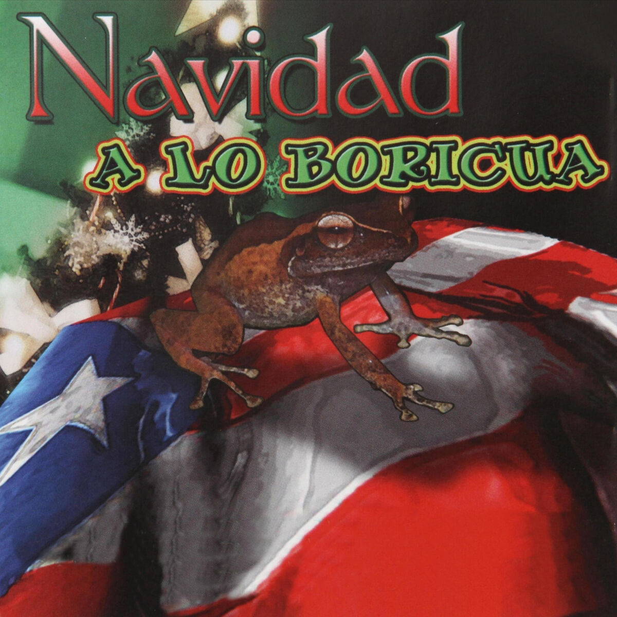 Album cover of Navidad a Lo Boricua