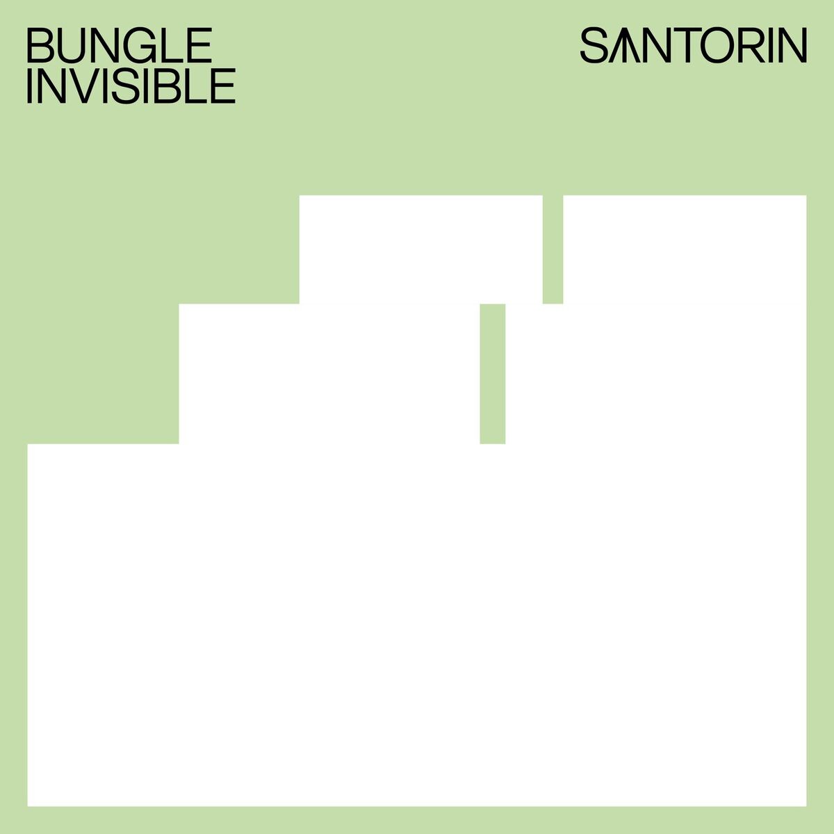 Album cover of Invisible