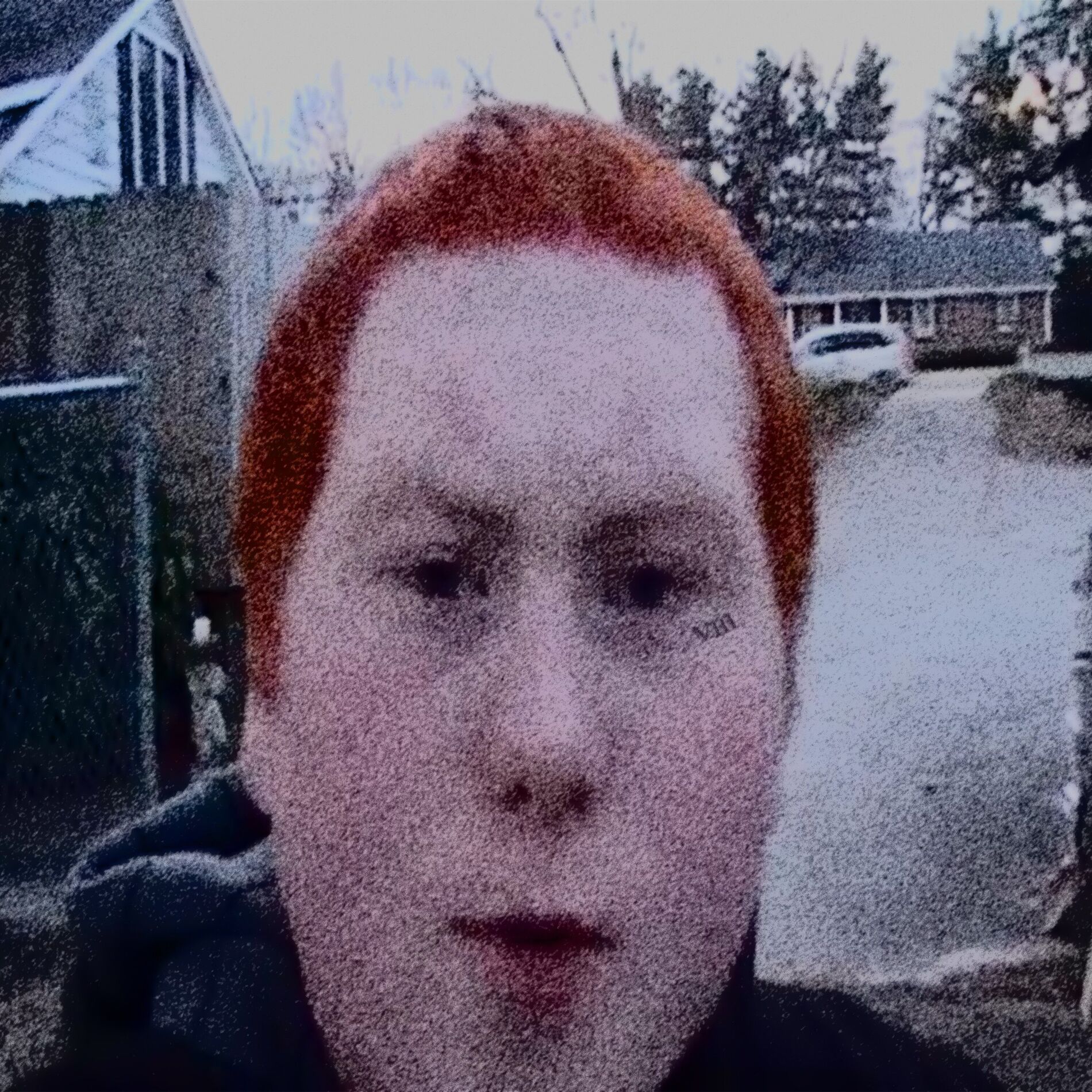 Album cover of GINGER